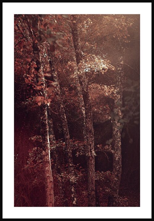 Rote Blätter im Wald Poster - 30 x 21 cm