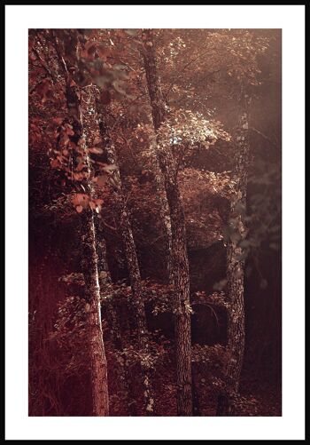 Affiche Feuilles rouges dans la forêt - 30 x 21 cm 1