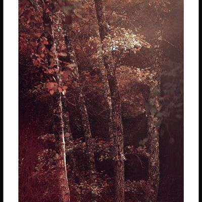 Póster Hojas rojas en el bosque - 50 x 40 cm