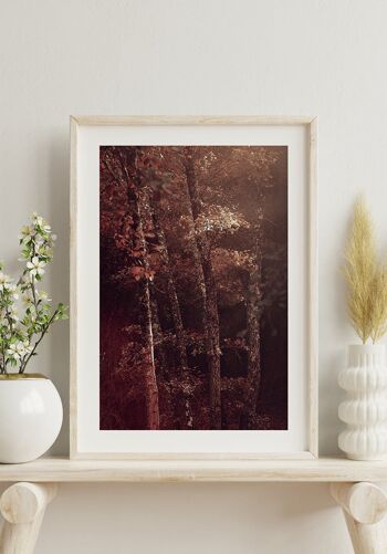 Affiche Feuilles rouges dans la forêt - 50 x 40 cm 3