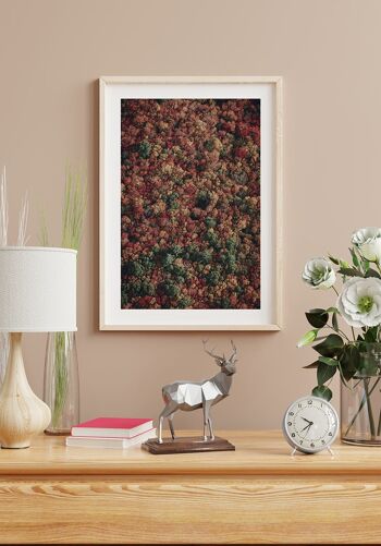 Forêt d'automne vue d'en haut Poster - 30 x 21 cm 3