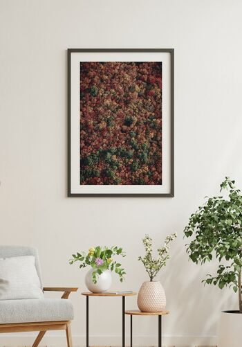 Forêt d'automne vue d'en haut Poster - 30 x 21 cm 4