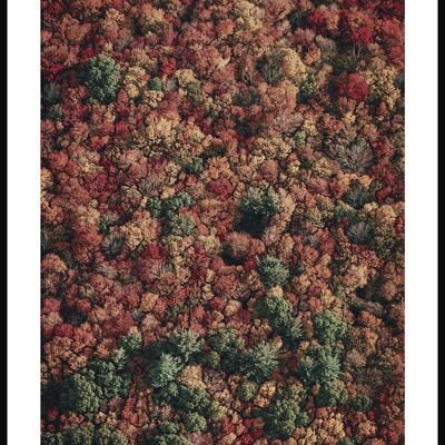 Forêt d'automne vue d'en haut Poster - 40 x 30 cm