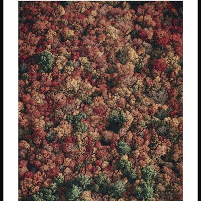 Herbstwald von oben Poster - 50 x 40 cm