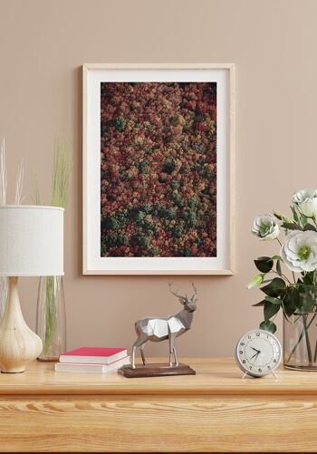 Forêt d'automne vue d'en haut Poster - 70 x 50 cm 3
