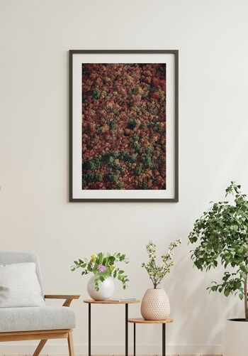 Forêt d'automne vue d'en haut Poster - 70 x 50 cm 4