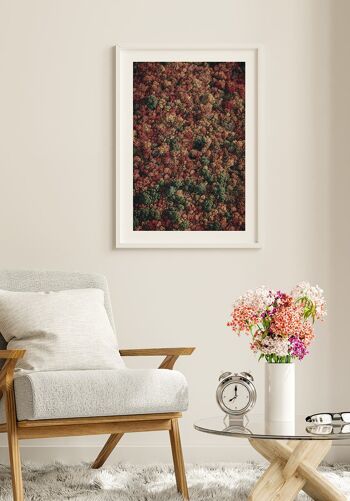 Forêt d'automne vue d'en haut Poster - 70 x 50 cm 5