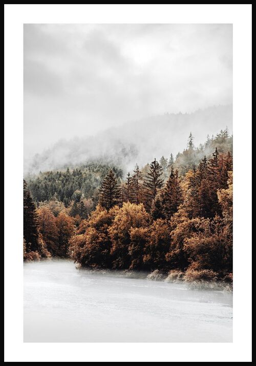 Wald am Fluss Poster - 50 x 40 cm