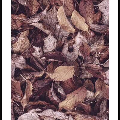 Affiche feuilles d'automne - 40 x 30 cm