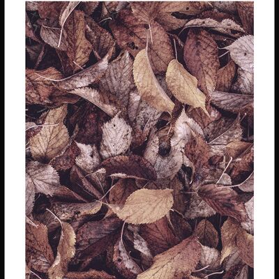 Herbstblätter Poster - 50 x 40 cm