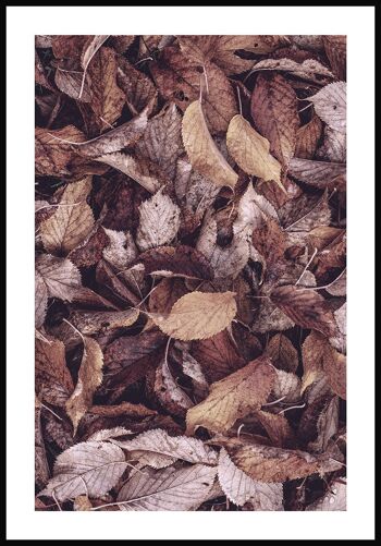 Affiche feuilles d'automne - 70 x 50 cm 1