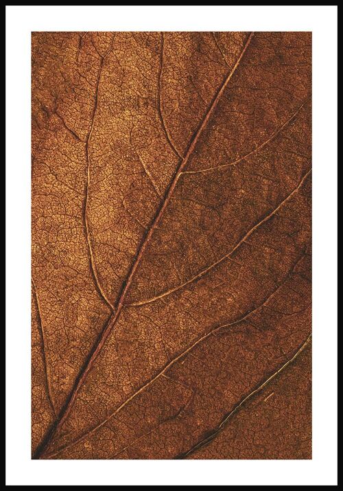 Goldenes Herbstblatt Poster - 30 x 21 cm