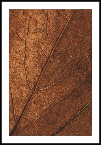 Affiche Feuille d'automne dorée - 50 x 40 cm 1