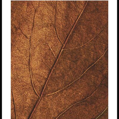Goldenes Herbstblatt Poster - 50 x 40 cm
