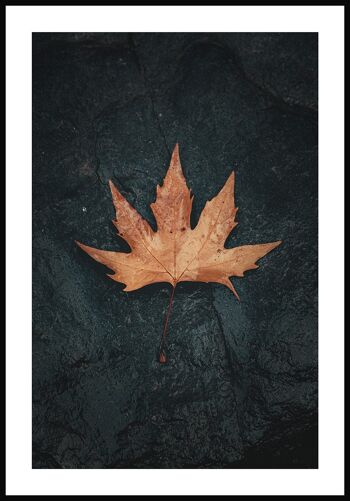 Feuille d'automne posée sur la pierre Poster - 30 x 21 cm 1
