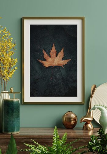 Feuille d'automne posée sur la pierre Poster - 30 x 21 cm 3