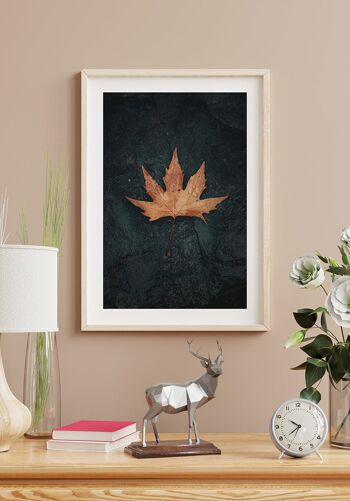 Feuille d'automne posée sur la pierre Poster - 30 x 21 cm 5