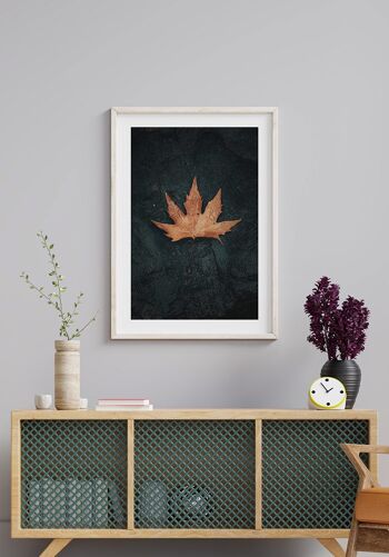 Feuille d'automne posée sur la pierre Poster - 30 x 21 cm 6