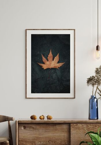 Feuille d'automne posée sur la pierre Poster - 40 x 30 cm 4