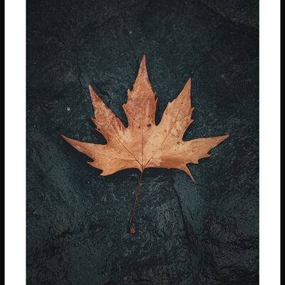 Hoja de otoño sobre piedra Póster - 50 x 40 cm