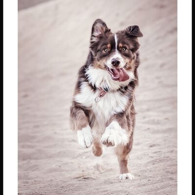 Dog on the Beach Poster - 21 x 30 cm