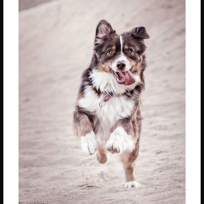 Dog on the Beach Poster - 40 x 50 cm