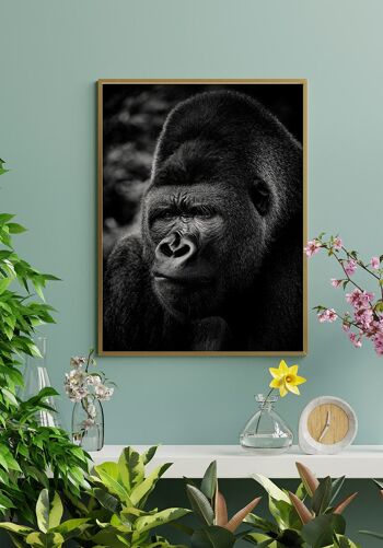 Photographie noir et blanc Gorille - 30 x 40 cm 2