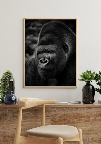 Photographie noir et blanc Gorille - 30 x 40 cm 3