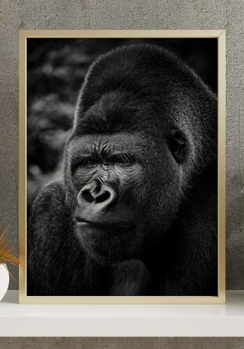 Photographie noir et blanc Gorille - 30 x 40 cm 4