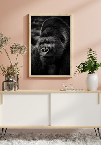 Photographie noir et blanc Gorille - 30 x 40 cm 6