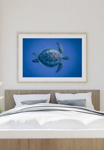 Affiche Tortue dans la mer - 21 x 30 cm 6
