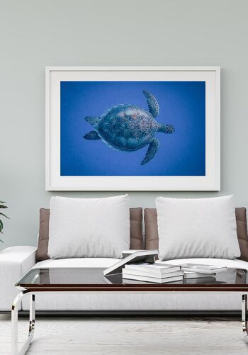 Affiche Tortue dans la mer - 40 x 50 cm 4