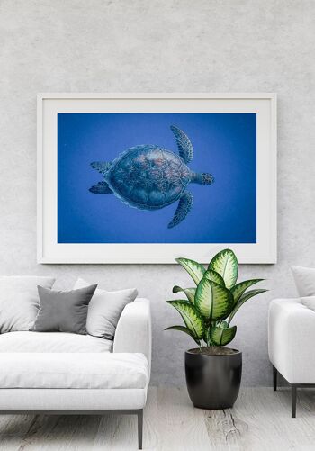 Affiche Tortue dans la mer - 50 x 70 cm 5