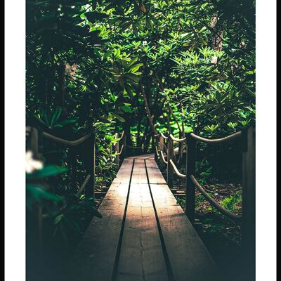 Affiche Chemin vers la jungle - 21x30cm