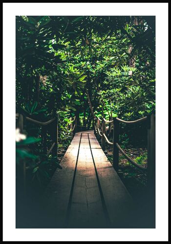 Affiche Chemin vers la jungle - 40x50cm 1