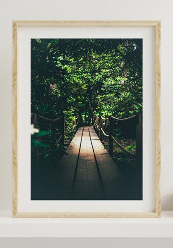 Affiche Chemin vers la jungle - 50x70cm 6