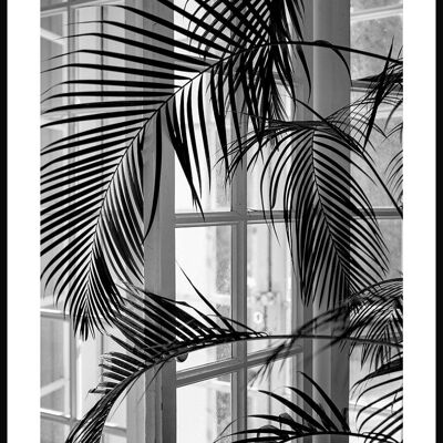 Black and white photograph of a palm tree by the window - 21 x 30 cm
