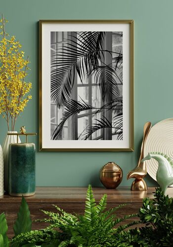 Photographie noir et blanc d'un palmier près de la fenêtre - 21 x 30 cm 3