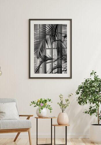 Photographie noir et blanc d'un palmier près de la fenêtre - 21 x 30 cm 4