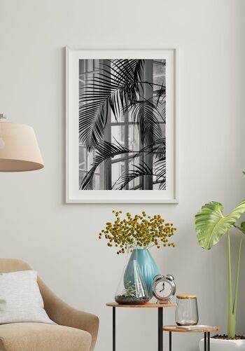 Photographie noir et blanc d'un palmier près de la fenêtre - 21 x 30 cm 5