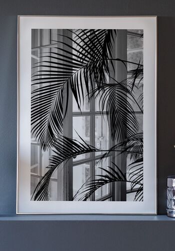 Photographie noir et blanc d'un palmier devant la fenêtre - 30 x 40 cm 2