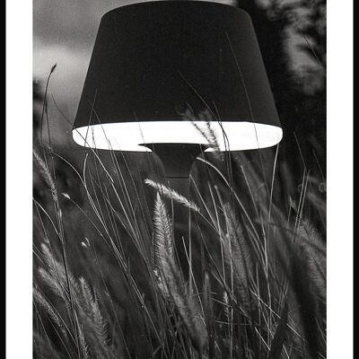 Black and white poster lamp in the field - 21 x 30 cm
