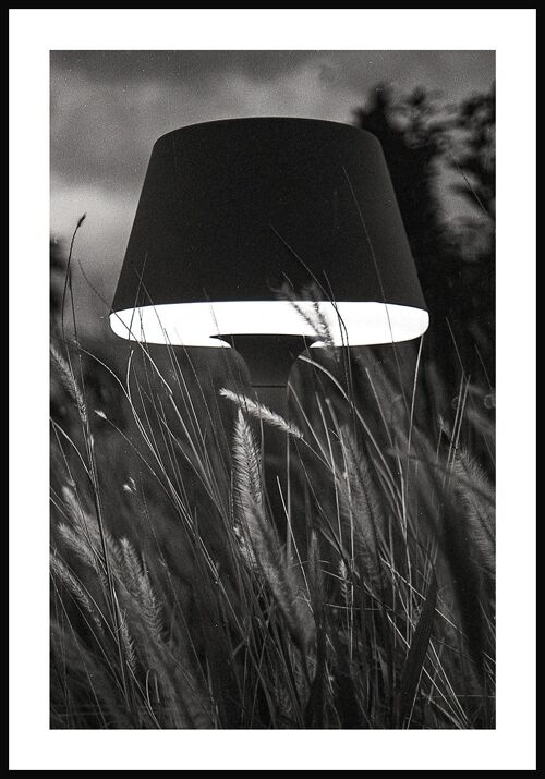Schwarz-weiß Poster Lampe im Feld - 40 x 50 cm