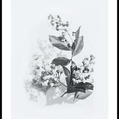 Affiche noir et blanc bouquet de lilas - 21 x 30 cm