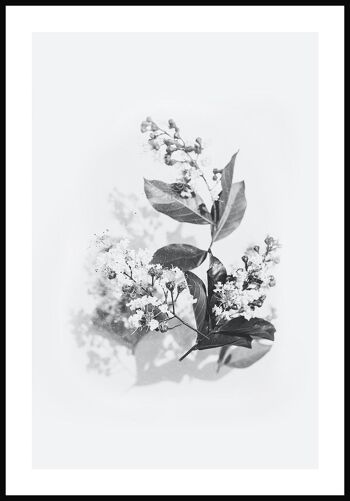 Affiche noir et blanc bouquet de lilas - 21 x 30 cm 1