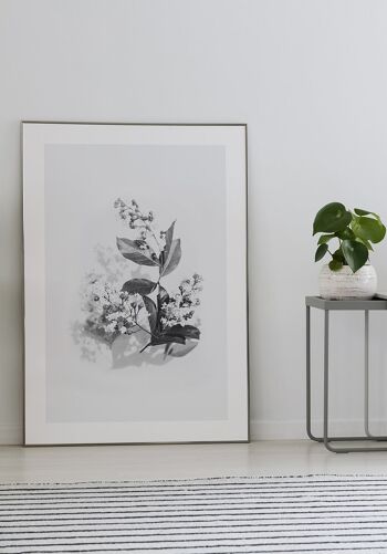 Affiche noir et blanc bouquet de lilas - 21 x 30 cm 2