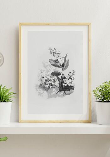Affiche noir et blanc bouquet de lilas - 21 x 30 cm 4
