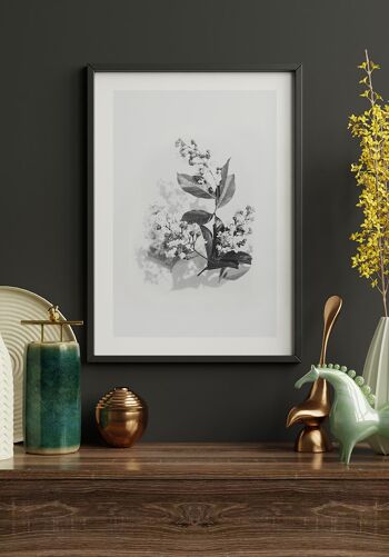 Affiche noir et blanc bouquet de lilas - 21 x 30 cm 6