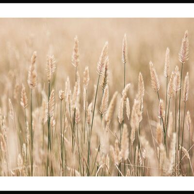 Poster golden wheat field - 30 x 40 cm
