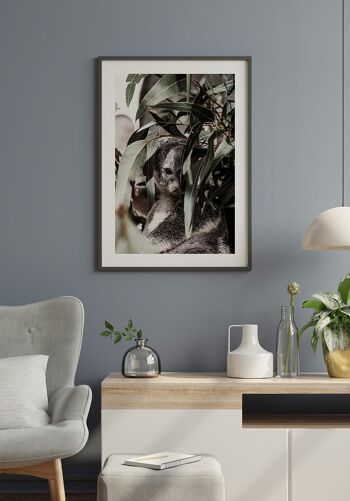 Affiche Ours Koala dans l'arbre - 21 x 30 cm 5